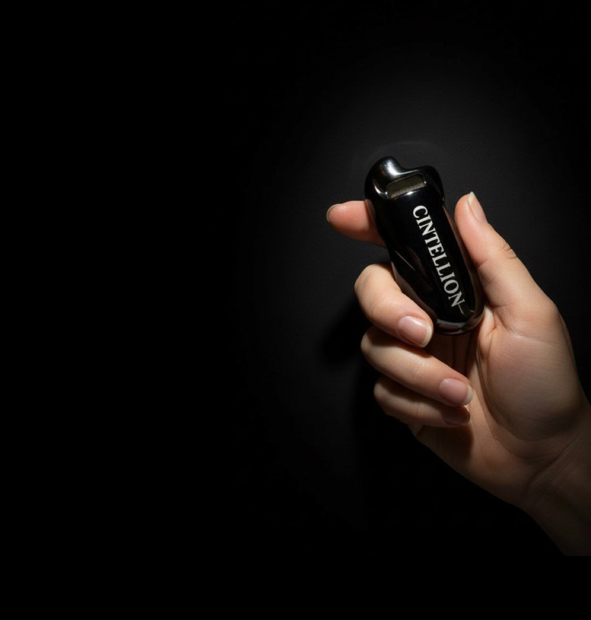 Cintellion Lighter Case